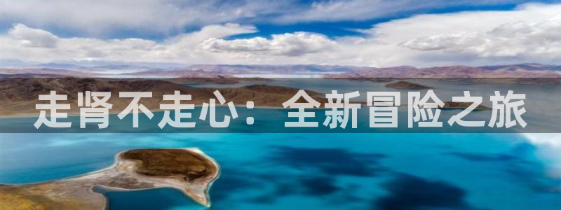 汗汗漫画完结作品推荐:走肾不走心:全新冒险之旅配图