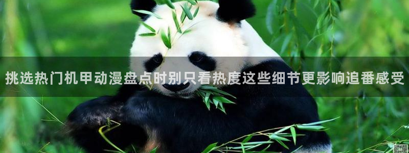 汗汗漫画大全免费:挑选热门机甲动漫盘点时别只看热度这些细节更影响追番感受配图