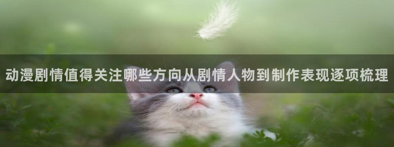 汗汗漫画完整版阅读：动漫剧情值得关注哪些方向从剧情人物到制作表现逐项梳理配图